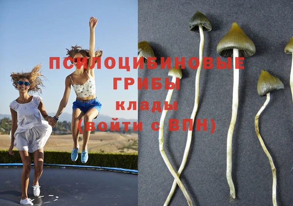 каннабис Алексеевка