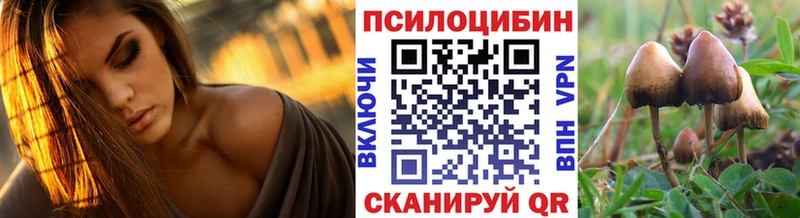 дарнет шоп  Тюкалинск  Псилоцибиновые грибы Psilocybe 